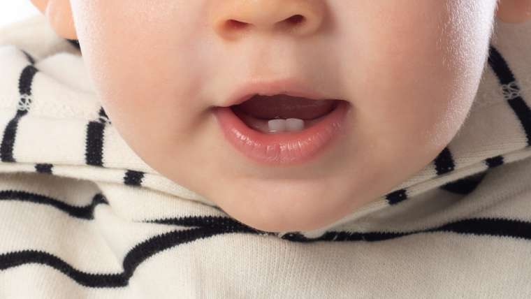 Dente de leite: um guia completo da primeira dentição do 0 aos 3 anos