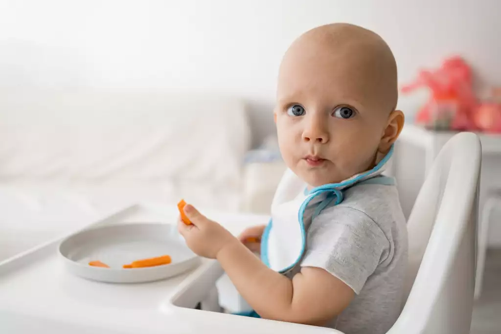 Bebê comendo sozinho um palito de cenoura. 